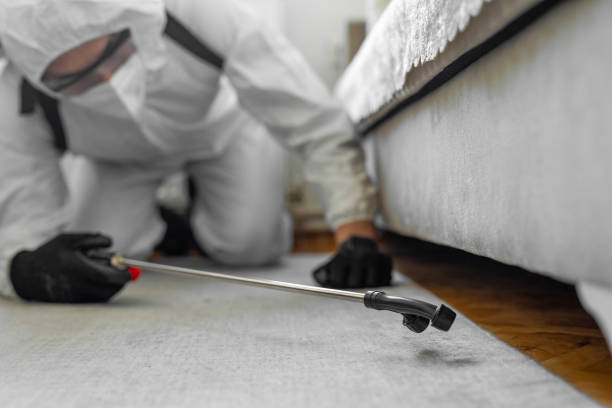 Professional Bed Bug Control technician working in Stutsman County County, ND